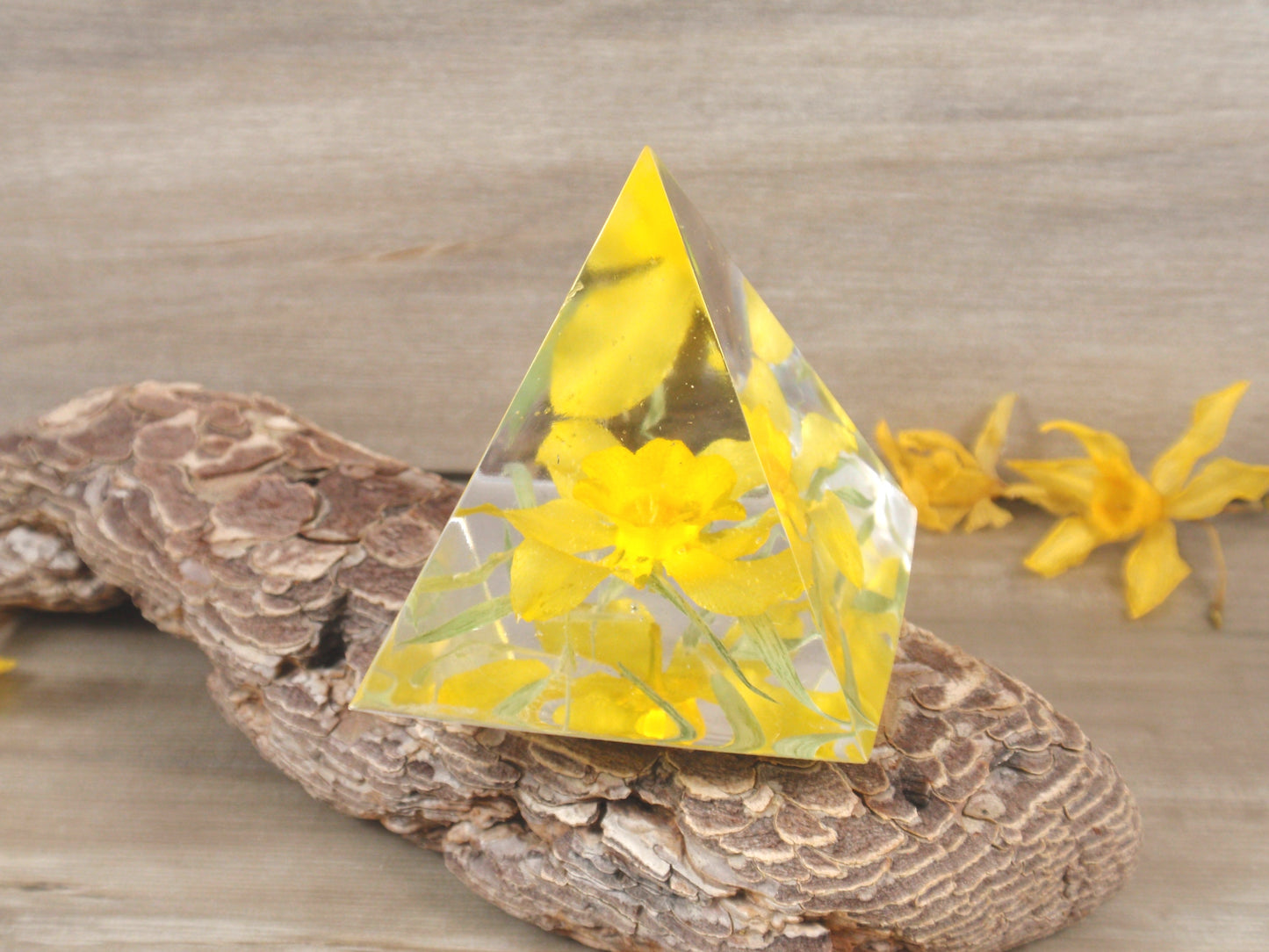 Real Daffodil flower home decor pyramid