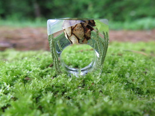 Pine cone and greens Nature ring, Resin ring, Pressed flower jewelry, Botanical ring