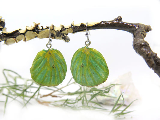 Real Butterfly Monarch natural wings earrings
