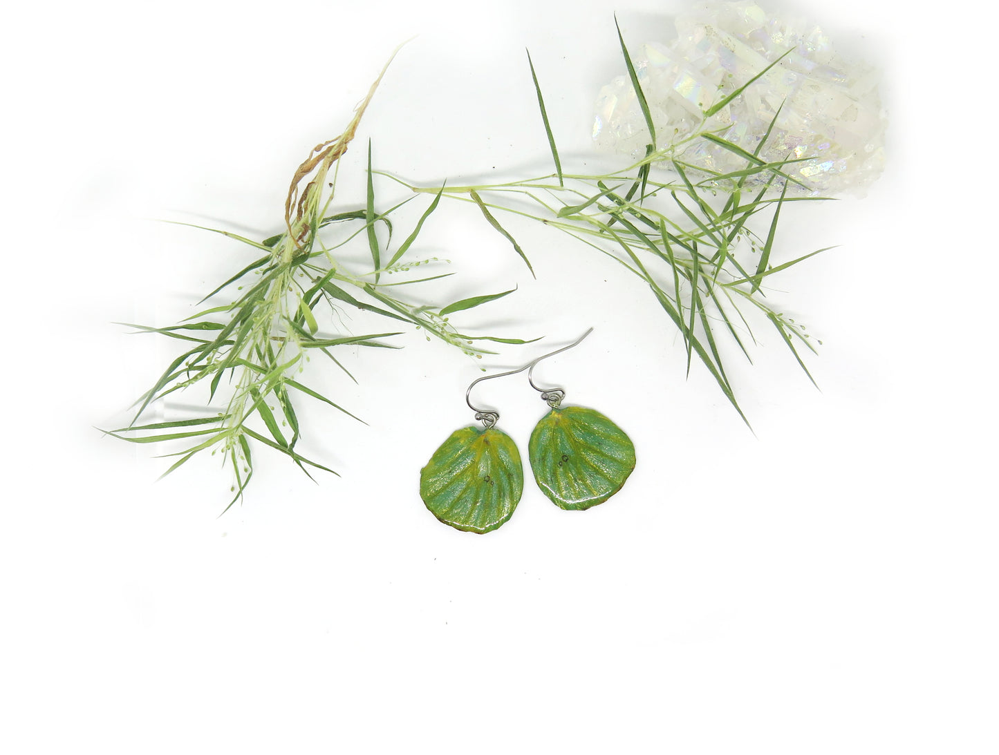 Real Butterfly Monarch natural wings earrings