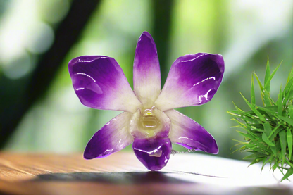 Real orchid necklace - Dendrobium Orchid nekclace deep purple