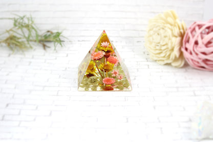 Flower paperweinght desk decor real flower home decor pyramid