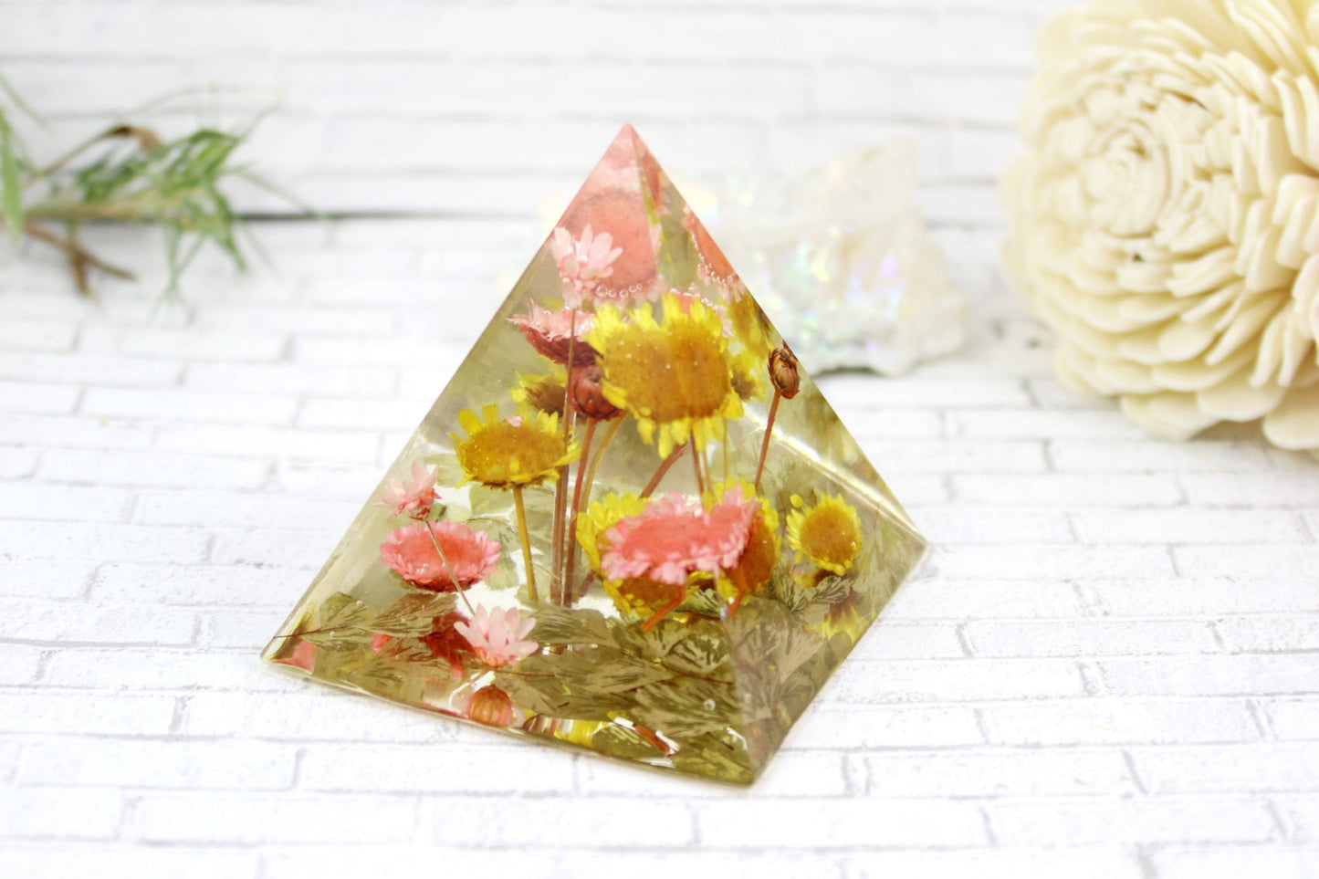 Flower paperweinght desk decor real flower home decor pyramid