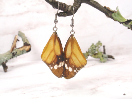 Real Butterfly Monarch wings jewelry earrings  natural