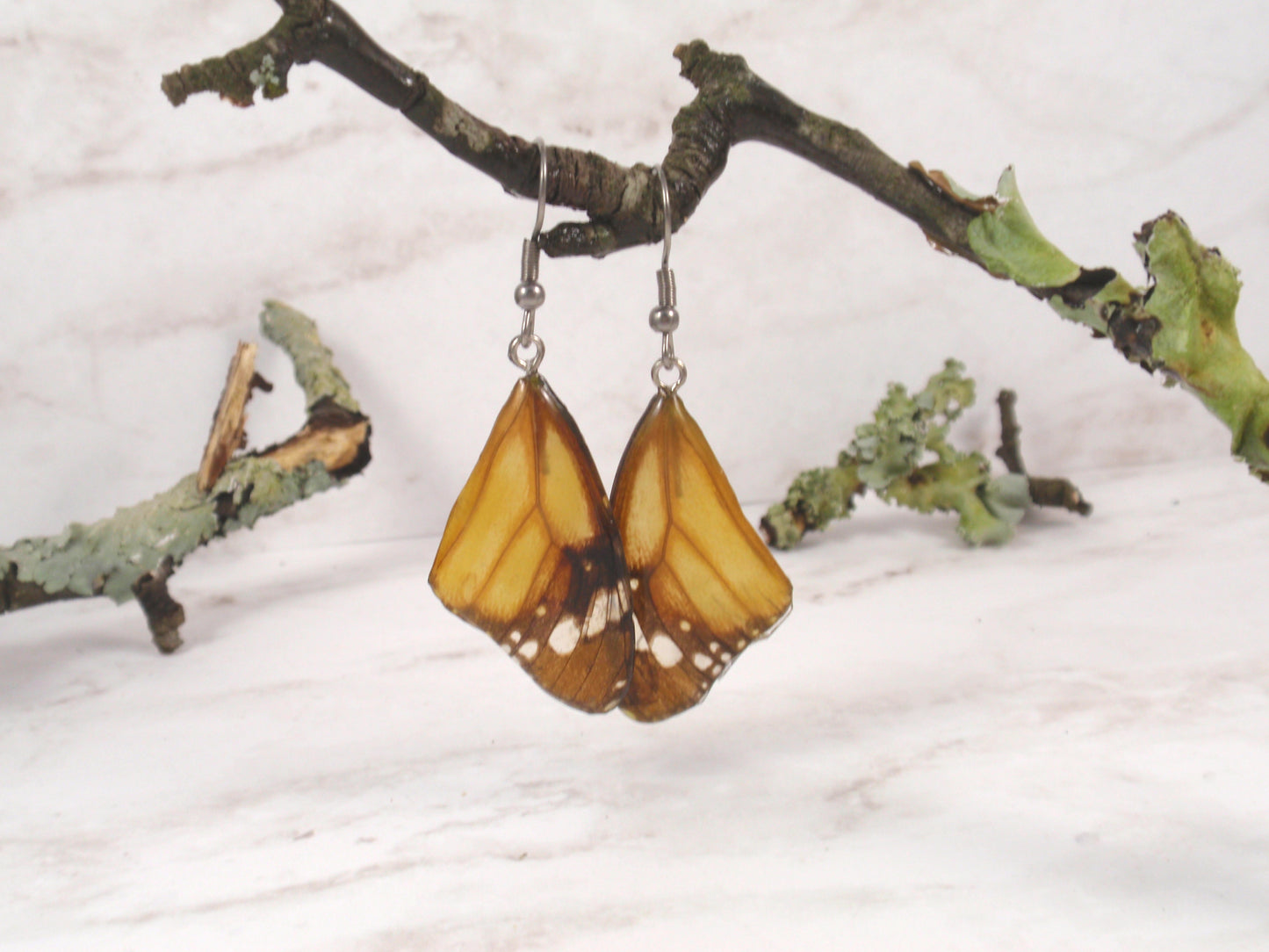 Real Butterfly Monarch wings jewelry earrings  natural