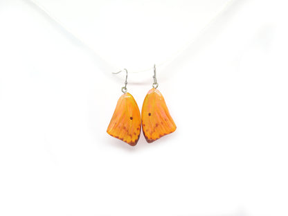 Butterfly wings jewelry earrings, handmade earrings