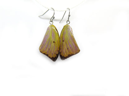 Real Butterfly wings jewelry earrings