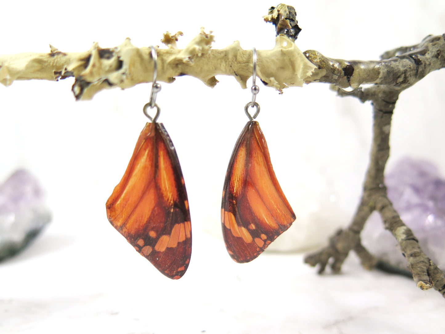 Real Butterfly wings jewelry earrings Monarch natural