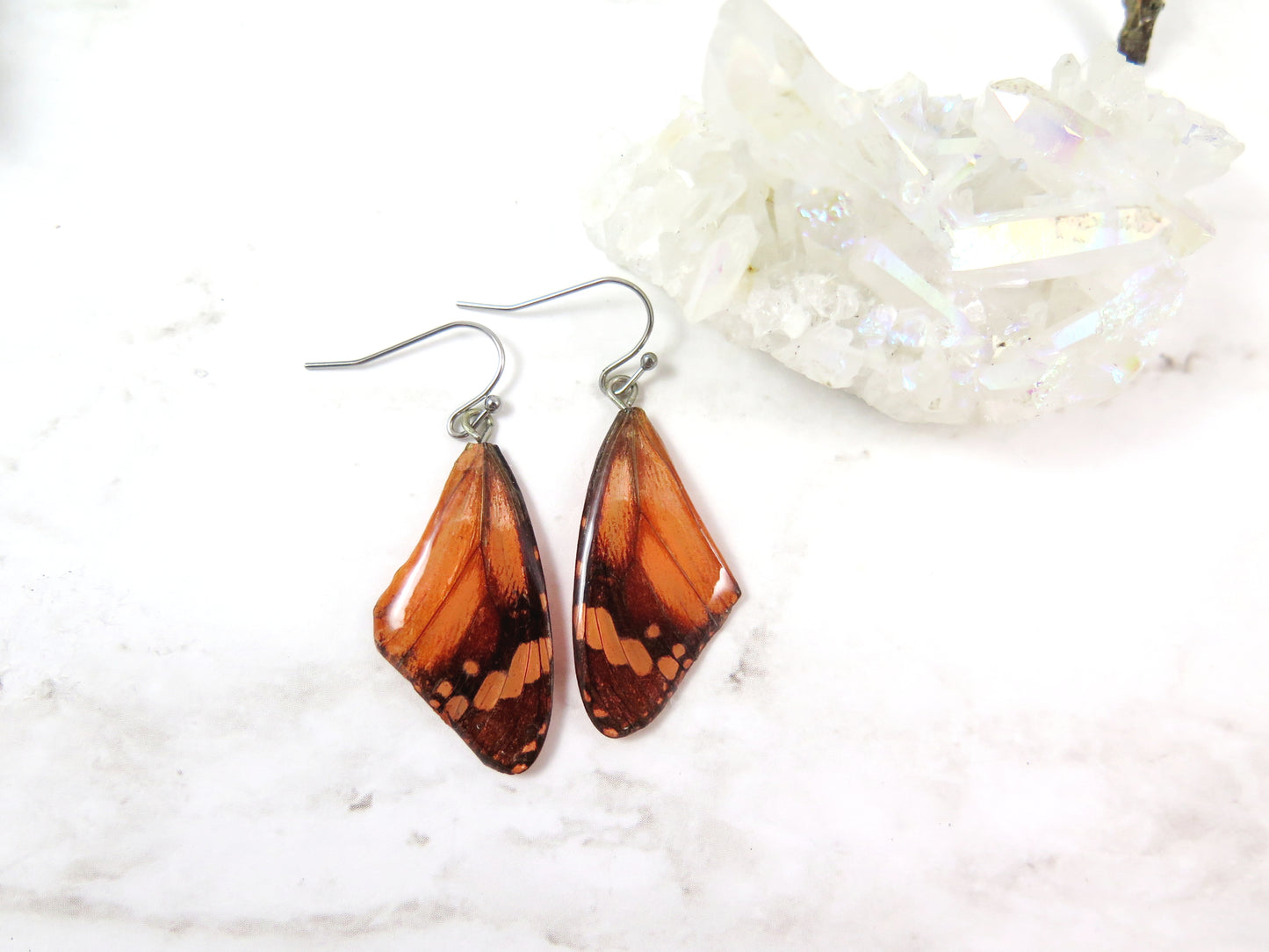 Real Butterfly wings jewelry earrings Monarch natural