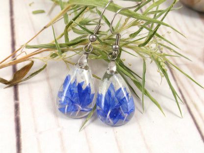 Blue Cornflower dangle pressed flower earrings