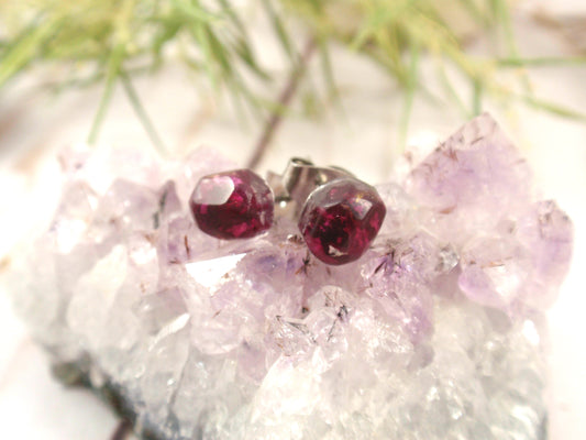 Rose stud earrings, real flower botanical jewelry