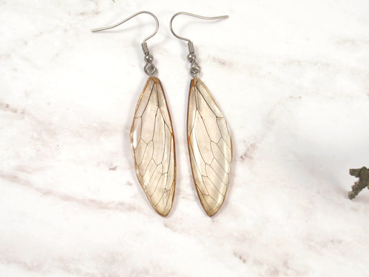 cicada wings real bug earrings