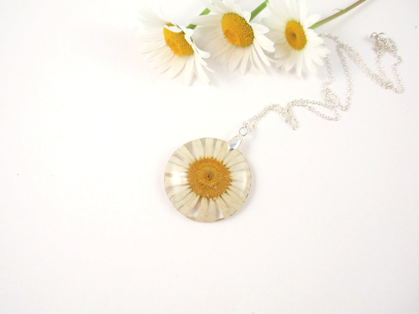 Real Daisy Necklace, Birth Month flower April
