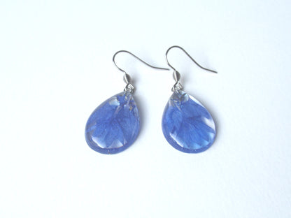 Teardrop earrings with blue Cornflower, bridesmaid jewelry
